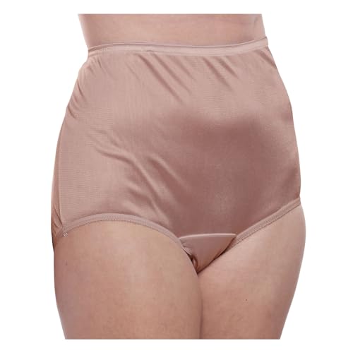 Image of Teri Women's 331 Plain Jane Classic Nylon Silky-Smooth Lightweight Breathable Full Coverage Brief Panty - 4 Pack