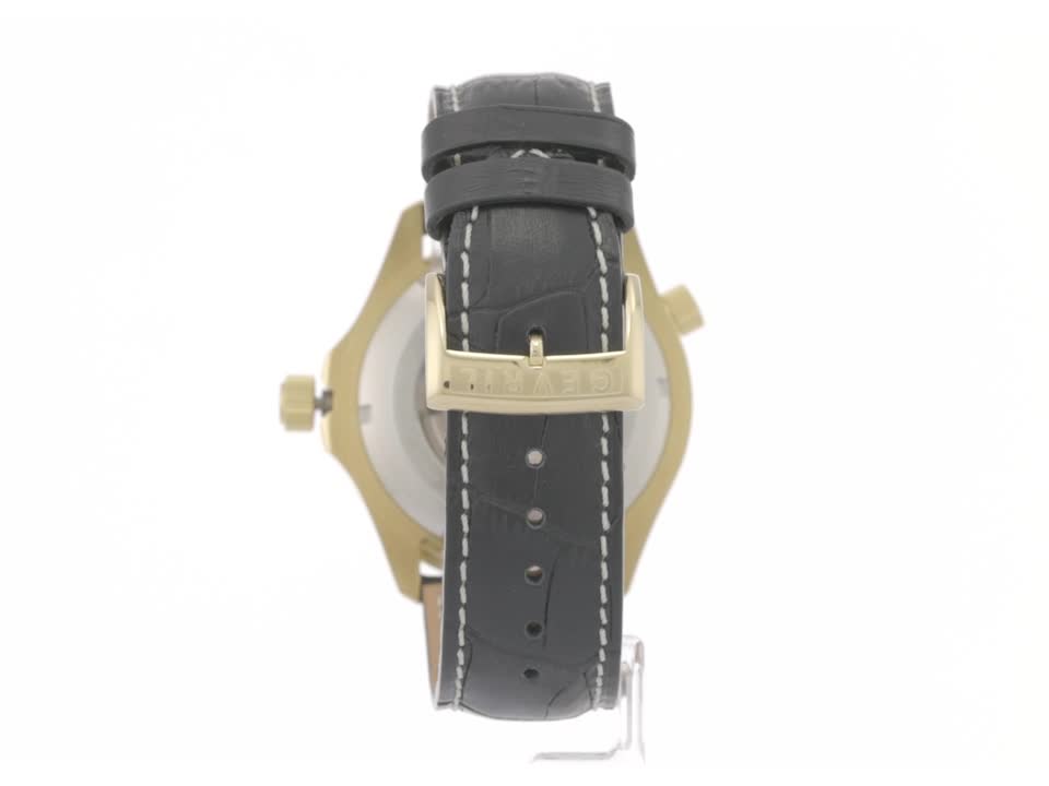 Amazon.com: Gevril Hudson Yard Men's Swiss Automatic Watch