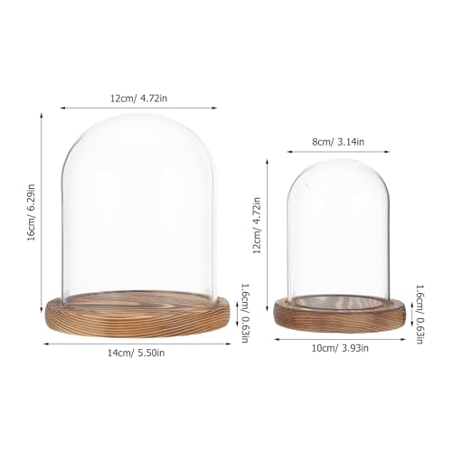 Cúpula de vidrio transparente con base de madera pack de 2 campanas de cristal para mesas 3