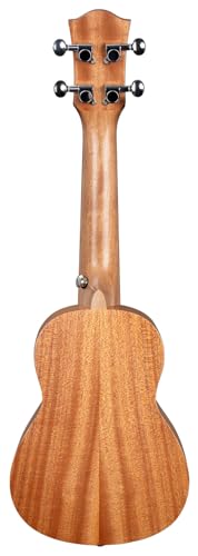 Soprano Ukulele Art Series Flowers - Les Beatles, Paul McCartney, John Lennon, RIngo Starr, George Harrison Soprano Ukulele Art Series Flowers – Image 6