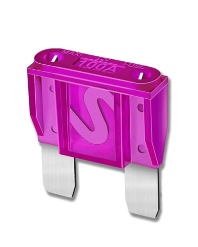 10pcs 100AMP Maxi Fuses - 100A Automotive Blade Fuse for Auto, Car, Rv, Boat, Truck