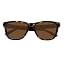 Brown Tortoise Frame Brown Lens