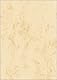 SIGEL DP372 Hochwertiges Marmor-Papier beige, A4, 100 Blatt, Motiv beidseitig, 90 g, Briefpapier, Speisekarte, aus nachhaltigem Papier
