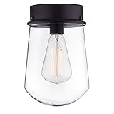 Globe Electric Edelman 1-Light Outdoor Indoor Flush Mount Ceiling Light, Matte Black, Clear Glass Shade 44268