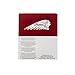 Indian Motorcycle Oil Change Kit for All 60 & 69 Cu In Liquid-Cooled Scout Engines, 4 Quarts 15W-60 Full Synthetic Oil, 1 Oil Filter, 2 Washers, Clutch Performance, Engine Protection - 2880191