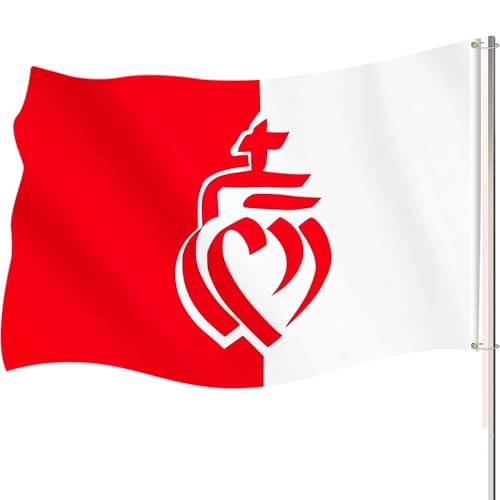 Drapeau Vendée Department Flag 90x150cm Drapeau de la Province de Vendée avec 2 boutons en laiton Drapeaux décoratifs pour l'intérieur et l'extérieur Convient Pour les Festivals et Les Célébrations