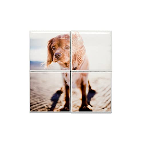 Carreaux céramique Cavalier King Charles marron mignon à la finition brillante