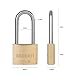 SEDORTI Outdoor Weatherproof Padlock with Stainless Steel Shackle and Solid Brass Body, Marine Grade Rustproof Long Lock for Sheds, Storage Unit School Gym Locker, Fence, Toolbox, Hasp Storage