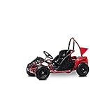 FRP Baja-X 48V 1000W Brushless Electric Go Kart, 3-Speed Setting Go Kart W/ Forward & Reverse,...