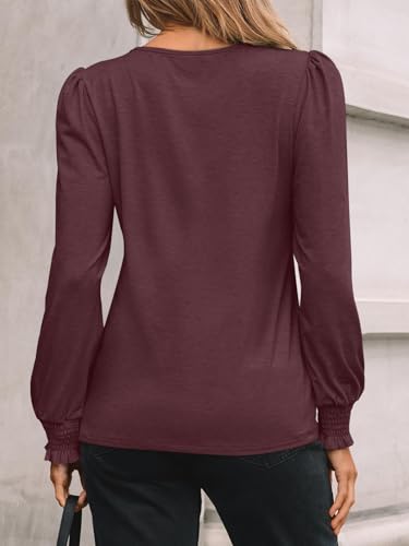 AUTOMET Long Sleeve Shirts for Women Business Casual Tops Dressy Blouses with Smocked Cuffs4