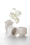 SYJAN HOME Ceramic Tea Cup Set,6.5oz Small Coffee Cups for Cappuccino,Latte,Handleless Tea cups,Cera