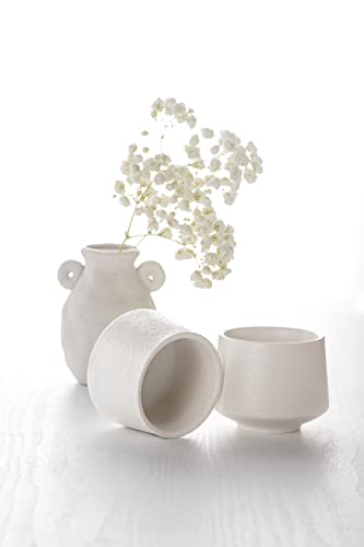 Syjan Home Ceramic Tea Cup Set,6.5Oz Small Coffee Cups For Cappuccino,Latte,Handleless Tea Cups,Ceramic Espresso Cups Set Of 2,Demitasse Cups (White, 2) #TOP8