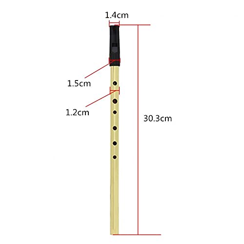 Flöte Irish Whistle Flöte D Key 6 Loch Klarinette Flöte Tin Penny Whistle Musikinstrument aus vernickeltem Messing