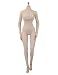 Phicen Super-Flexible Female Seamless Body with Stainlesss Steel Skeleton in Pale 1:6 Figure 26 Points of Articulation (Pale; S10D; Large Breast Size)