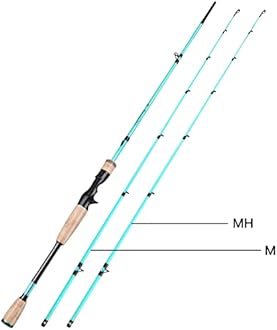 Sougayilang Fishing Rod, 2Pc Casting Rod Spinning Rod for Freshwater Tournament Quality Fishing Pole with 2 Tips for Bass