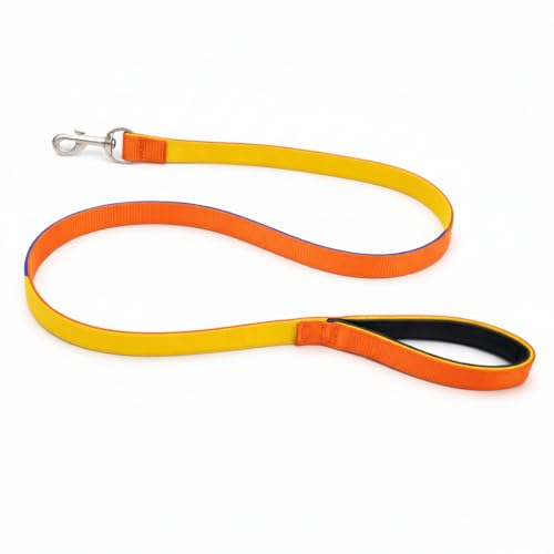 Image of Dog Leash with Padded Handle and Padded Collar Set | Adjustable Nylon Dog Collar & Heavy Duty Leash with Strong Metal Clip | Useful for Small Medium Large Dogs (Orange & Yellow)