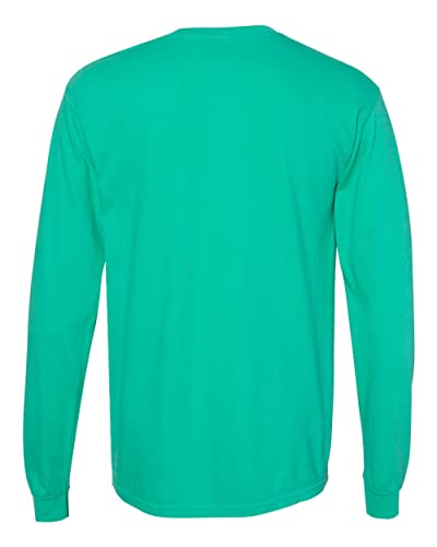 Image of Comfort Colors Adult Long Sleeve Style G6014 Tee
