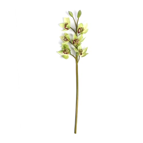 Image of PURE HOME + LIVING Green Faux Boat Orchid Spray Blossom Artificial Orchid Flowers with Pot for The Home, Garden, Office Artificial Blossom Flowers(Height-76cm) Pack of 1