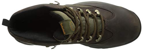 Timberland Men's Chocorua Trail Mid Waterproof Snow Shoe, Brown/Green, 11 D - Medium #TOP4