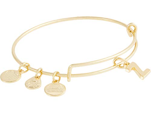 Image of Alex and Ani Expandable Bangle for Women, Initials A to Z Letter Charms, Shiny Finish, 2 to 3.5 in