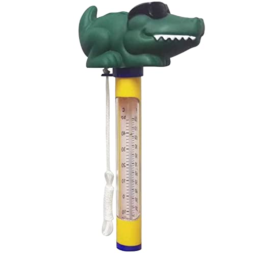 10 Best Digital Pool Temperature Gauge (Updated 2024)