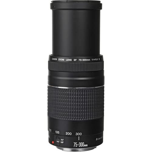 イベント&スポーツ/CANON EF 75-300mm F4-5.6 III Amazon.com : Canon EF 75-300mm f/4-5.6 III Lens | Compact