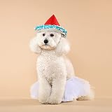 HACRAHO Tutu-Rock für Hunde, Hochzeit, Tutu mit 1 Hundehaarschleife, Tüll-Tutus für kleine, mittelgroße Hunde, Mädchen, Weiß, 1 Packung