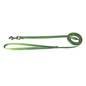 Hamilton Single Thick Nylon Lead with Swivel Snap, 4-Feet Long, Lime Green