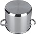 Imagen de aro Olla Multiusos, con Tapa, Acero Inoxidable