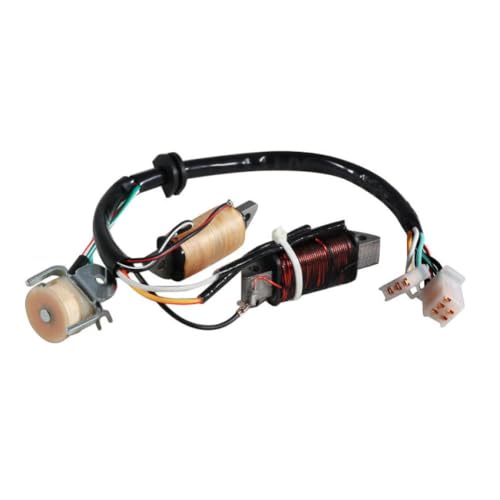 Bobine d'allumage de stator haute conductivité pour T80D Town Mate 1987