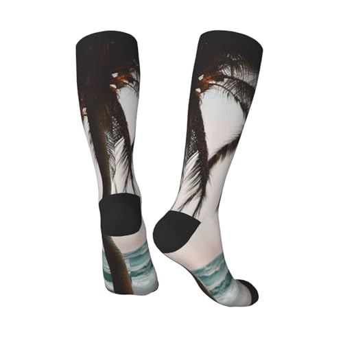 cartoon pigeon 1 print Clash of colours long socks, sports running cycle long socks, comfort long socks4