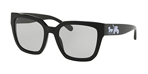 Coach HC8249 Sunglasses (Black Solid, Light Tint)