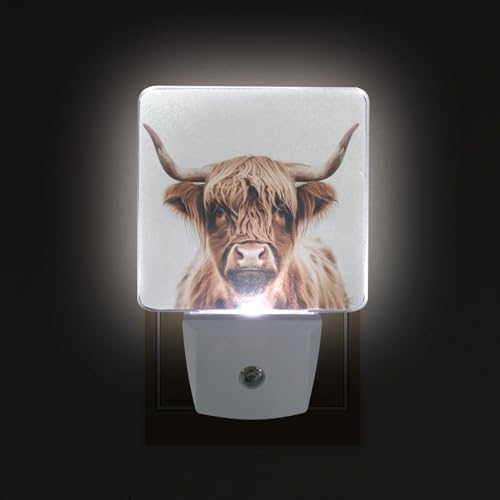 Image of Brown Highland Cattle Cow Night Lights 2 Pack Plug-in Wall Led Nightlight Auto Dusk-to-Dawn Sensor Lamps for Bedroom Kitchen Bathroom