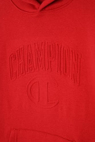 Image of Champion boys Graphic Hoodie Pullover Sweatshirt for Kids With Stylish Embellishments