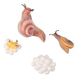Décors de jardin - ils peuvent également développer des compétences et apprendre aux enfants à en savoir plus sur cycle de vie et de croissance des animaux, animaux simulés