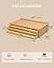 DJAR Basic 4-Drawer Art Supply Storage Box, Portable Premium Beech Wood Organizer Box for Pastels, Pencils, Pens, Brushes, Stamp, Art Storage with Removable Dividers, Natural