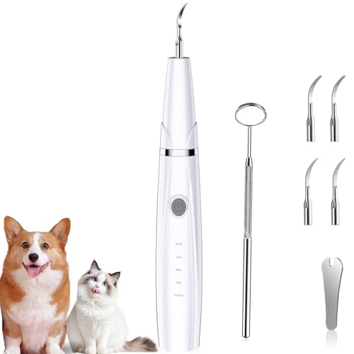 BOJNGEWIN ybgpi puV gU USB[d 5[h߉\ LEDƖ IPX6h LEp