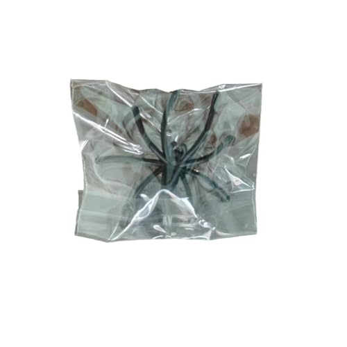 X Y  sAX w N sAX nEB fUC  w v[g a