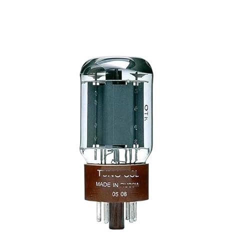 FLEYYXBN 5881 Vacuum Tube Replaces EL34 5881A 6L6 350C 6L6GC 6P3P HiFi Audio Tube(2pcs Matched Pair)