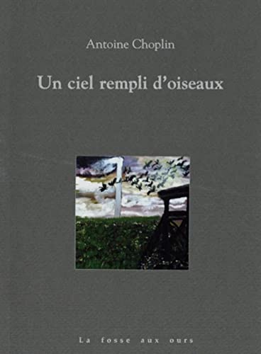 Cover zum Buch Un ciel rempli d'oiseaux