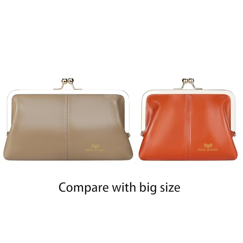 Fashionable Genuine Leather RFID Blocking Women's Wallet with Kiss Lock, Card Slots and Zipper Coin Pocket 4120 (Rose)4