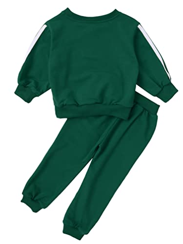 TiaoBug Kids Boys Girls Long Sleeves Clothes Set Tracksuit Zip Up Hooded Sweatshirt with Pants Toddlers Sweatsuit Set4