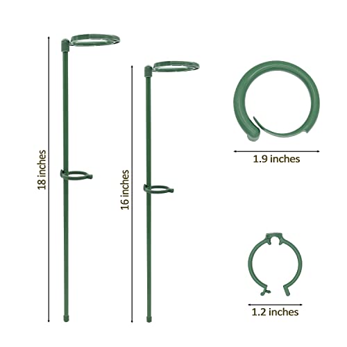 Plant Stakes, Mialexo 6Pcs Green Stakes Plant Support Stick With Ring. Plant Support Stakes Suitable For Planting Potted Plants Such As Flowers Tomato Peony Lily Rose (18-Inches) #TOP1