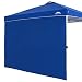 EAGLE PEAK Sunwall/Sidewall for 10x10 Straight Leg Canopy only, 1 Sidewall, Blue