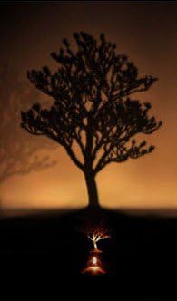 Amazon 影絵をインテリアに取り入れる プロジェクト 照明 シルエット ライト 投影ライト 壁面 デザイン 影アート 暖色 Led インテリア 影絵 オシャレ イルミネーション モノトーン 木々 E買い物ネットワーク キャンドル キャンドルスタンド 通販