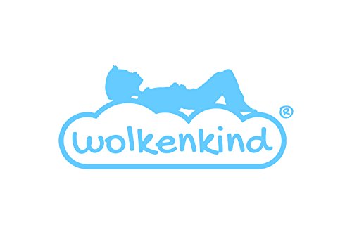 Wolkenkind 7-Zonen Basic Kaltschaummatratze, Made in Germany, Dauerelastisch, Wechselbezug | 100 x 200 cm - 502159 Wolkenkind 7-Zonen Basic Kaltschaummatratze, Made in Germany, Dauerelastisch, Wechselbezug | 100 x 200 cm