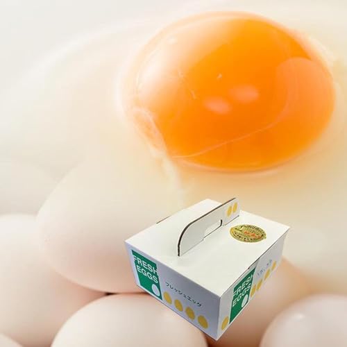 [定期便][定期便 毎月発送 全6回 ]アルカリ化 玉子 紀州地養卵 合計 40個入 (30個+割れ補償分10個)× 6回 卵 たまご 玉子 タマゴ 鶏卵 まとめ買い オムレツ 卵かけご飯 朝食 業務用