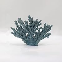 Amazon.co.jp: 珊瑚 サンゴ オブジェ F 水槽 アクアリウム