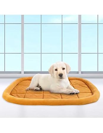 Petlicious & More (Size - Medium, 28