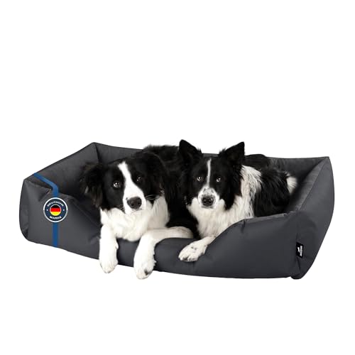 BedDog Cuscino Cane XXL - Cuccia Cane Interno Taglia Piccola - Cuccia per Cani - Lettino per Cani - Letto per Cani in Tessuto Alicante e Cordura - Cucce per Cani da Interno
